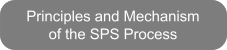 Principles and Mechanism of the SPS Process